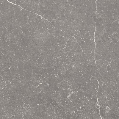Ceramic-Apolo Piazen wand- en vloertegel - 20x20cm - 8.5mm - Porcellanato - Iron (Grijs)