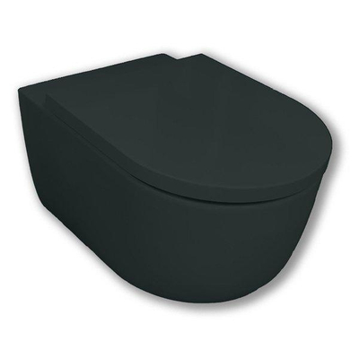 Royal Plaza Primo Toiletset - 55cm - hangend - cycloonspoeling - spoelrandloos - diepspoel - met zitting - softclose - quick release - schoolbord