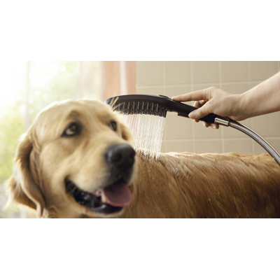 Hansgrohe Dogshower douche voor de hond mat zwart