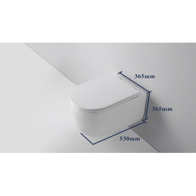 QeramiQ Dely Zitting - softclose - quickrelease - slim - glans wit OUTLETSTORE