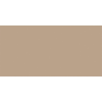 Rako Color One Wandtegel 20x40cm 7mm witte scherf Dark Beige