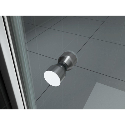 Wiesbaden Between nisdeur 700 x 2000 x 8 mm nano helder glas/chroom