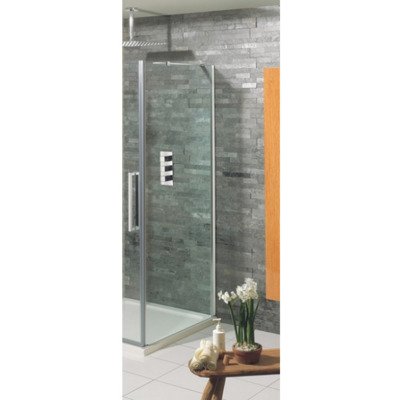 Simpsons Ten zijwand 80x195cm zilver profiel helder glas TWEEDEKANS