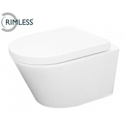 Wiesbaden Vesta toiletset Rimless 52cm inclusief UP320 toiletreservoir en softclose toiletzitting met bedieningsplaat wit