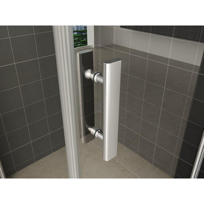 Xellanz Cerra eco nisdeur 1000 x 1950 x 6 mm helder glas/chroom