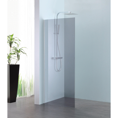 Royal Plaza Parri walk-in 100x200cm zilver profiel en grijs glas met clean coating