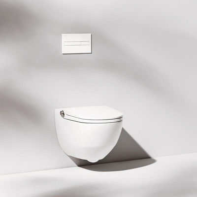 Laufen Cleanet RIVA Douche WC 35.5x60x41.5cm diepspoel incl. closetzitting met deksel en softclose keramiek mat wit mat