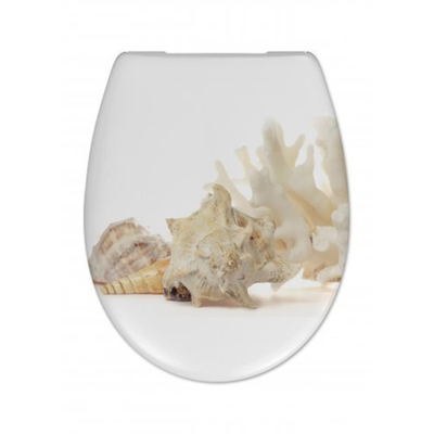 Cedo Shell Toiletzitting/siège wc Multi