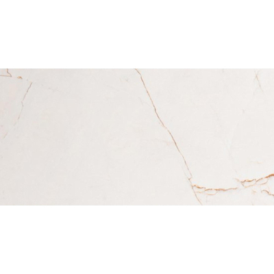 Vtwonen tegels Classic 100231 Vloertegel 300X600 Caramel 10mm Glans Ret.