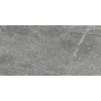 Douglas jones Marbles Vloertegel 300X600 Wells Ash 9,5mm Glans Ret.