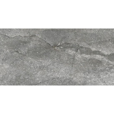 Douglas jones Marbles Vloertegel 300X600 Wells Ash 9,5mm Glans Ret.