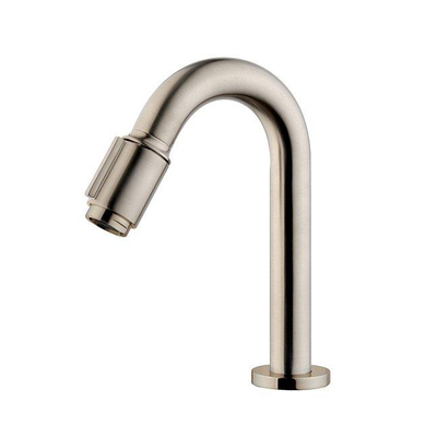 Wiesbaden Victoria luxe fonteinkraan 1/2'' geborsteld staal