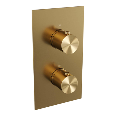 Brauer Gold Edition Regendoucheset inbouw - hoofddouche 20cm - gladde knop - handdouche Rond 3 standen - PVD - geborsteld goud