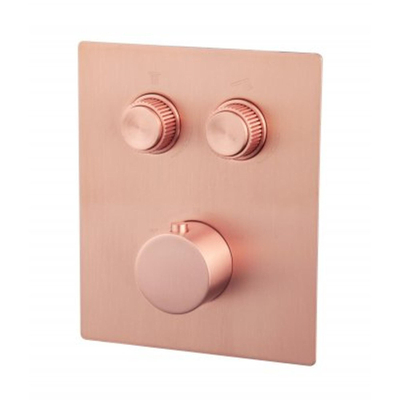 Wiesbaden Caral Klik Pro afbouwdeel inbouwthermostaat 2 weg geborsteld koper