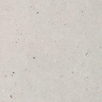 Italgraniti Silver grain Vloer- en wandtegel 60x60cm 9.5mm gerectificeerd porcellanato Grey