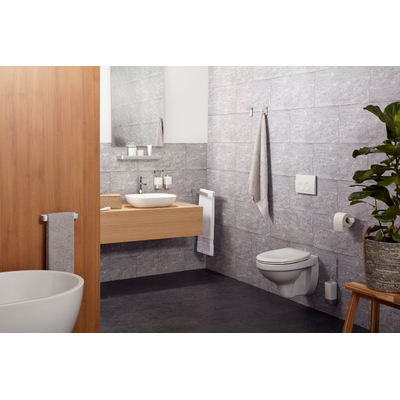 Haceka Aline Handdoekhouder - 46cm - dubbel - draaibaar - geborsteld aluminium