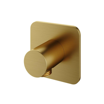 Hotbath Gal wanduitlaat Geborsteld messing PVD