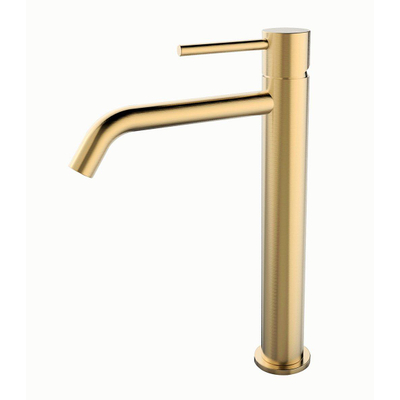 Wiesbaden Style XL wastafelmengkraan hoog geborsteld messing