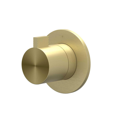 IVY Tribe Afbouwdeel - voor inbouwstopkraan - Symmetry - rond rozet - RVS316 geborsteld mat goud PVD