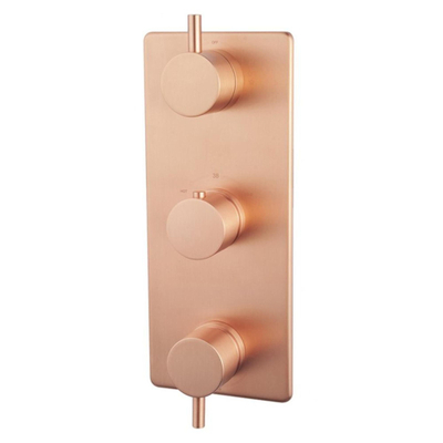 Wiesbaden Caral afbouwdeel inbouwthermostaat 3 weg geborsteld koper