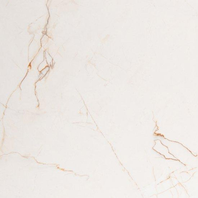 Vtwonen tegels Classic 100234 Vloertegel 600X600 Caramel 10mm Glans Ret.