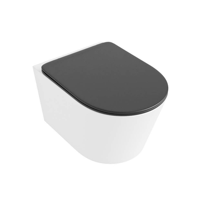 MONDIAZ LAVIE wandclosetpack - 36x53cm - diepspoel - rimless - Talc (offwhite) - softclose - quick-release - toiletzitting - Dark grey (grijs)