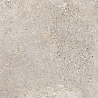 SAMPLE Ceramic-Apolo Stone Age Vloer- en wandtegel 60x60cm 10mm gerectificeerd R10 porcellanato Greige