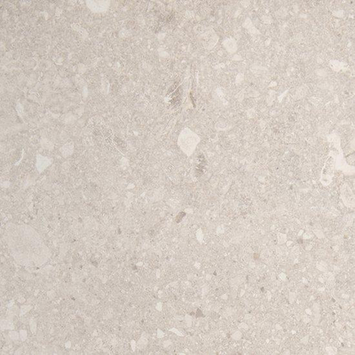 SAMPLE vtwonen Composite Vloer- en wandtegel 60x60cm 9mm gerectificeerd R10 porcellanato Light Grey