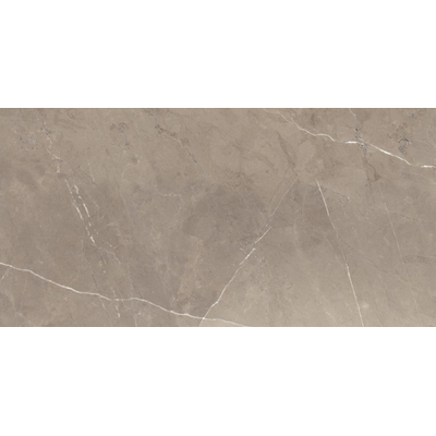 SAMPLE Energieker pietragrey vloer- en wandtegel keramiek taupe mat