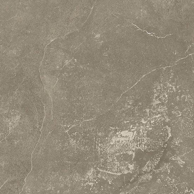 SAMPLE Beste Koop Harmony Vloer- en wandtegel 100x100cm 8.5mm gerectificeerd R10 porcellanato Taupe