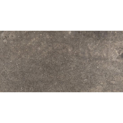 Rondine Provence Vloertegel 300X600 Multicolor 8,5mm Mat Ret.R10