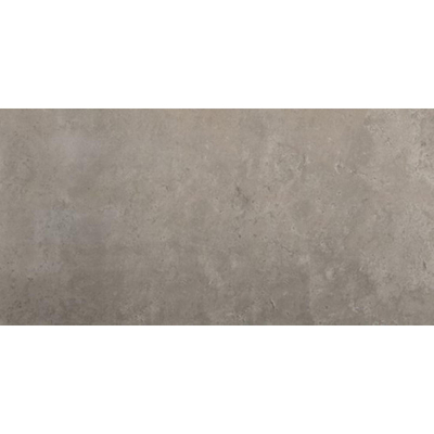 Douglas Jones Castles Vloer- en wandtegel 40x80cm 10mm gerectificeerd R10 porcellanato Cenere