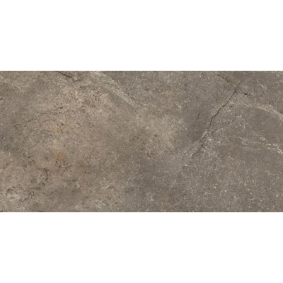 Douglas jones Marbles Vloertegel 300X600 Wells Moka 9,5mm Glans Ret.