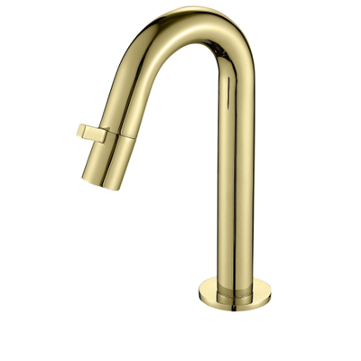 Best Design Nancy Macine toiletkraan keramisch binnenwerk 21cm goud mat