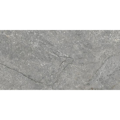 Douglas jones Marbles Vloertegel 300X600 Wells Ash 9,5mm Glans Ret.