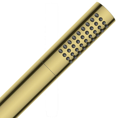 Wiesbaden Staafhanddouche 1 stand geborsteld messing