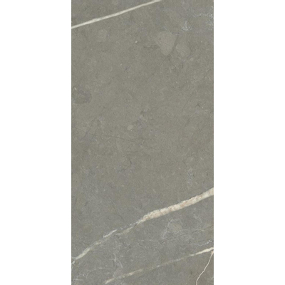 Royal plaza Chella Wandtegel 30x60cm marmer glans Grijs