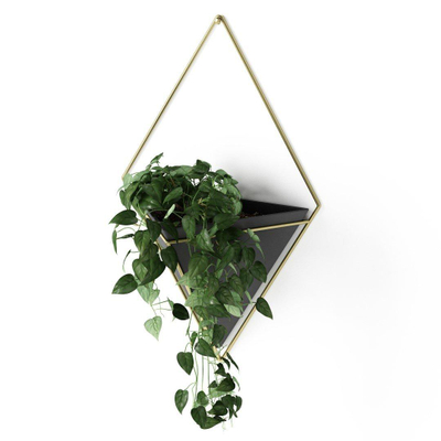 Umbra Trigg plantenhouder 10x22x39cm 1 stuk hangend keramiek zwart/goud