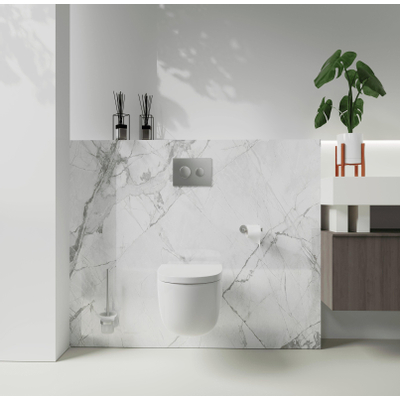 Fortifura Calvi toiletborstelhouder rond Geborsteld RVS PVD