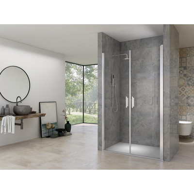 Van Rijn Products ST02 Saloondeur 1370-1410 x 2000 incl glasbehandeling en muurprofiel chroom