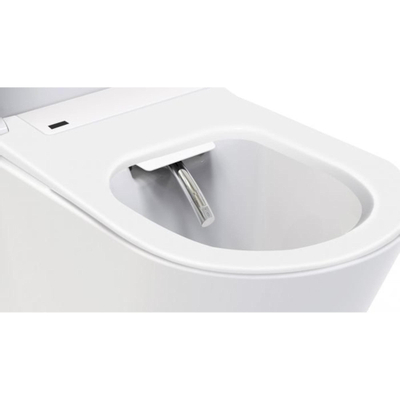 Wiesbaden Vesta rimless wand douche-WC wit