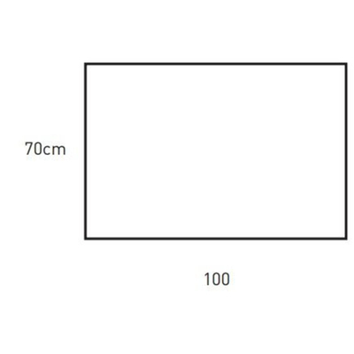 Adema Chaci spiegel 120x70cm 4mm inclusief bevestingsmateriaal