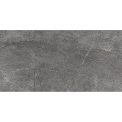 Douglas jones Marbles Vloertegel 600X1200 Wells Ash 10,5mm Glans Ret.