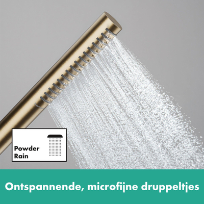 Hansgrohe Pulsify s staafhanddouche 100 1jet ecosmart brushed bronze