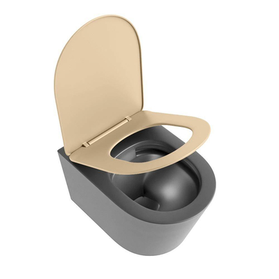 MONDIAZ LAVIE wandclosetpack - 36x53cm - diepspoel - rimless - Dark grey (grijs) - softclose - quick-release - toiletzitting - Sand (beige)