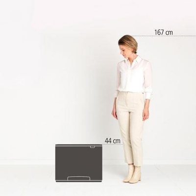 Brabantia Bo Pedaalemmer 11 + 23 liter Platinum