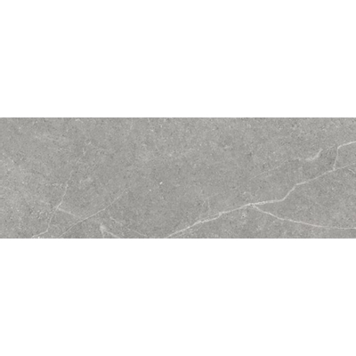 JOS. Storm Wandtegel 40x120cm 10.8mm gerectificeerd Grey