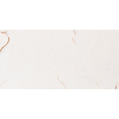 Vtwonen tegels Classic 100231 Vloertegel 300X600 Caramel 10mm Glans Ret.