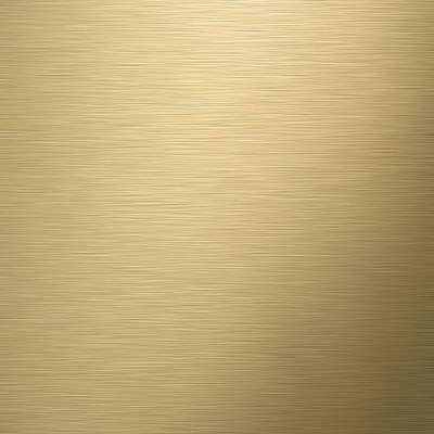 Tiger Tune Reserverolhouder - 2 rollen - wandmodel - zelfklevend - geborsteld messing/zwart