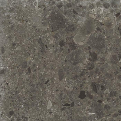 Baldocer Ceramica Nover wand- en vloertegel - 60x60cm - 9.5mm - Vierkant - gerectificeerd - Terrazzo - Zwart mat